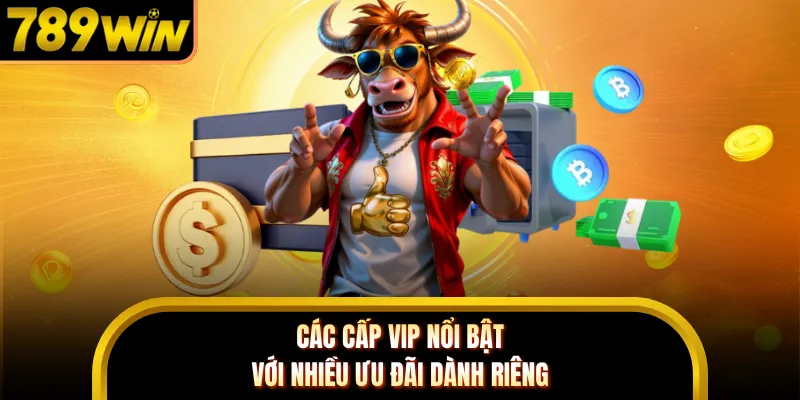 Các cấp VIP nổi bật với nhiều ưu đãi dành riêng
