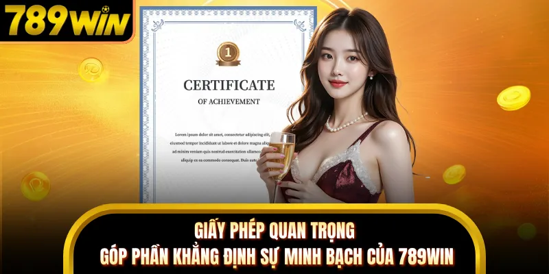 Giấy phép quan trọng góp phần khẳng định sự minh bạch của 789WIN