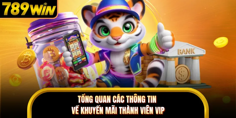 Tổng quan các thông tin về khuyến mãi thành viên VIP